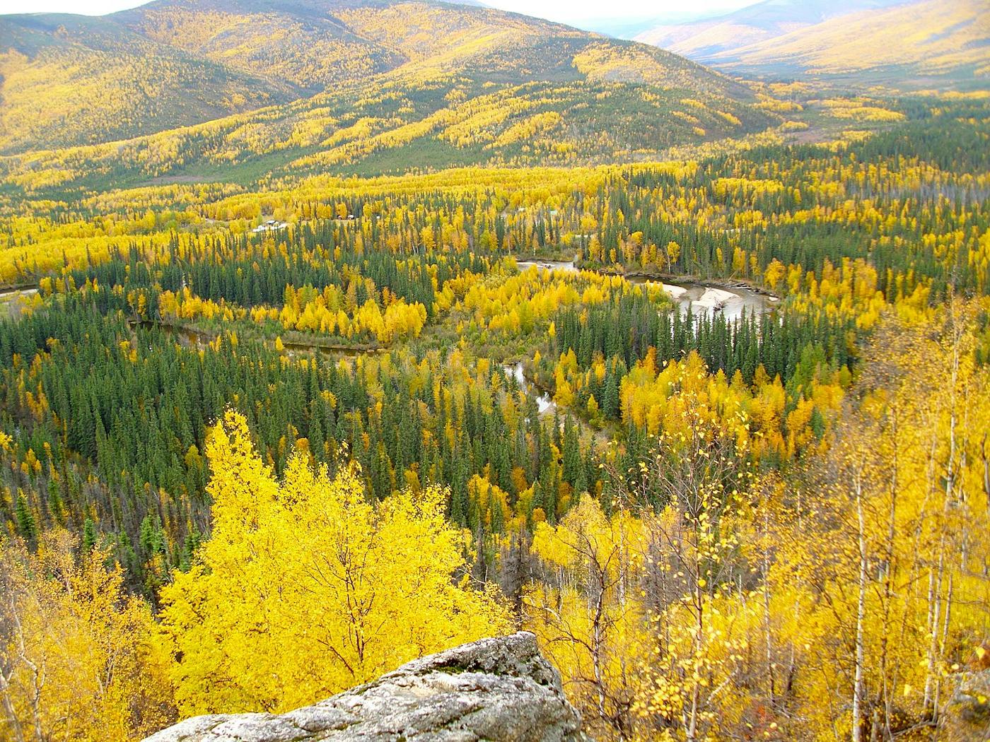 Greater Alaska Taiga & Tundra (NA4) | One Earth